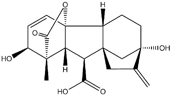 赤霉素GIBBERELLIC ACID，居然有這么神奇？