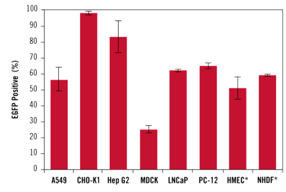 A graph of red columns Description automatically generated